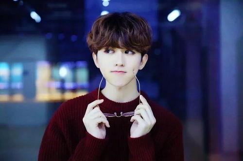 娱乐吃瓜君刘宇宁,娱乐吃瓜界的风云人物  第3张