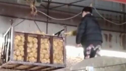 消毒液爆料视频,视频爆料揭示行业黑幕 第1张 消毒液爆料视频,视频爆料揭示行业黑幕 第1张